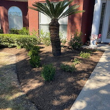 Fresh Mulch and Landscape Update in Waxahachie, TX 7